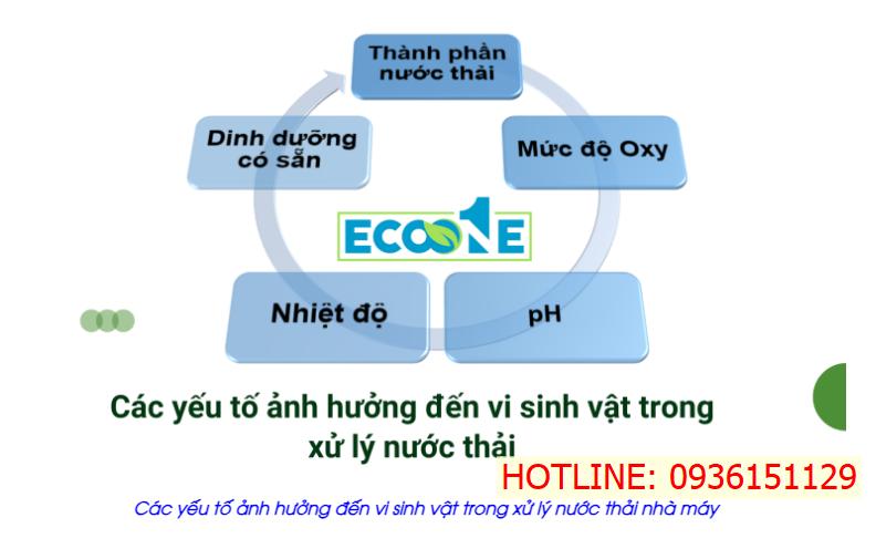 yếu tố ảnh hưởng đến vi sinh vật trong xử lý nước thải nhà máy